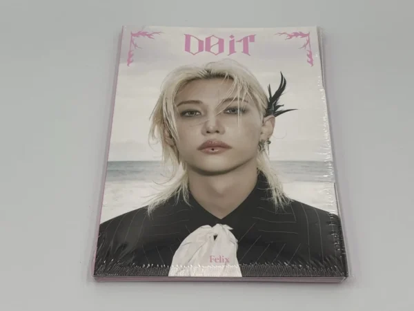 SKZ IT TAPE [DO IT] (Accordion Version) - Felix