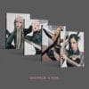 BLACKPINK 2nd Album - BORN PINK (DIGIPACK Ver.)