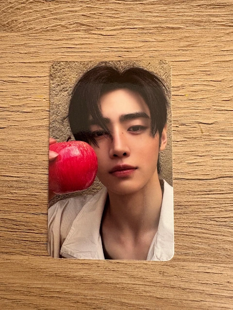 ENHYPEN – THE SIN VANISH Photocard [white] – Sunghoon